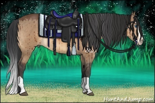 Horse Color:Brown Dun Splash 