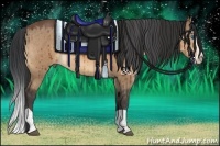 Horse Color:Brown Dun Splash 