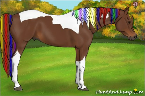 Horse Color:Gray Painted Chestnut Tobiano
