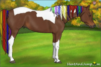 Horse Color:Gray Painted Chestnut Tobiano