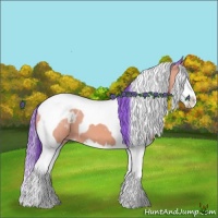 Horse Color:Watercolor Buckskin Splash Tobiano Appaloosa
