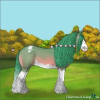Horse Color:Watercolor Bay Splash Appaloosa 