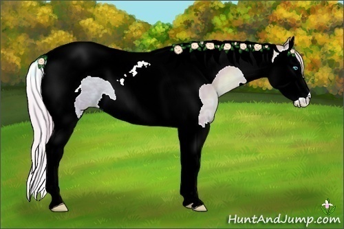 Horse Color:Watercolor Silver Buckskin Ice Pearl Splash Tobiano