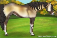 Horse Color:Liver Red Onyx
