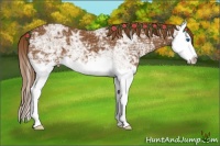 Horse Color:Chestnut Ice Splash 