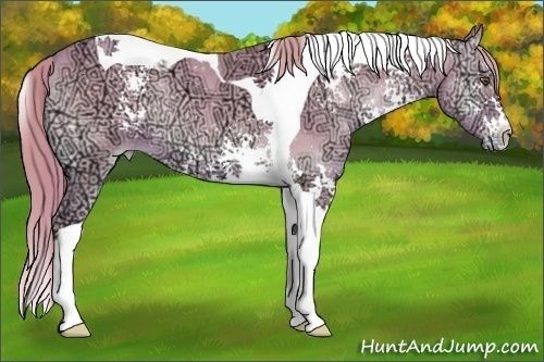 Horse Color:Watercolor White Spotted Gold Champagne Ice Onyx Tobiano Varnish Rabicano
