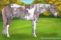 Horse Color:Watercolor White Spotted Gold Champagne Ice Onyx Tobiano Varnish Rabicano 