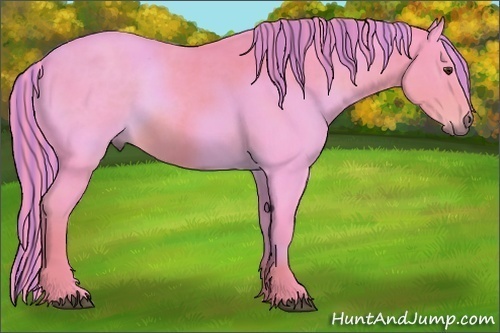 Horse Color:Painted Watercolor Liver Chestnut 