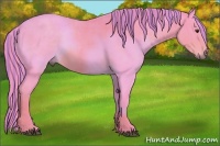 Horse Color:Painted Watercolor Liver Chestnut