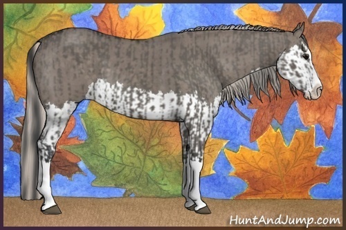 Horse Color:Grullo Sabino Splash and Silver Grullo Sabino Splash