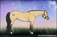 Horse Color:Bay Dun