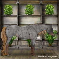 Horse Color:Liver Red Roan 