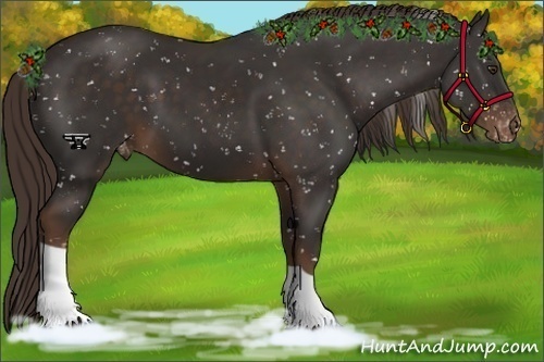 Horse Color:Liver Chestnut Snowflake Varnish
