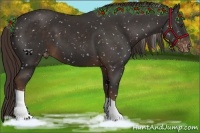 Horse Color:Liver Chestnut Snowflake Varnish