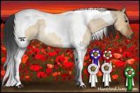 Horse Color:Brown Roan Dun Tobiano Rabicano