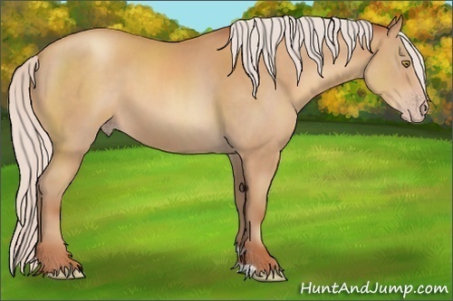 Horse Color:Silver Amber Champagne