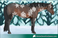 Horse Color:Brown Ice 