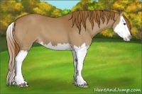 Horse Color:Chestnut Sabino Splash 