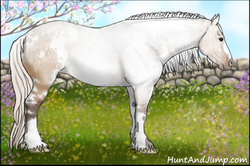 Horse Color:White Spotted Silver Brown Dun 