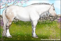 Horse Color:White Spotted Silver Brown Dun 