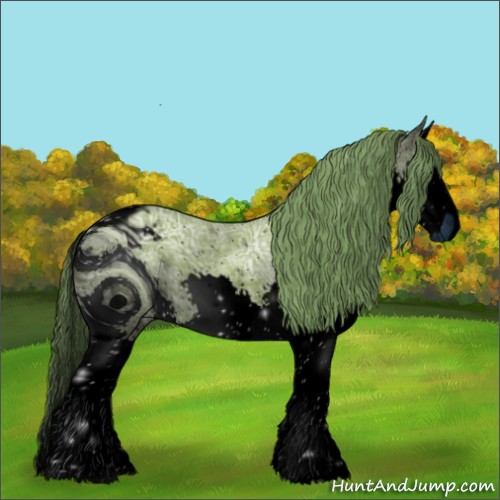 Horse Color:ERROR: UNKNOWN ANOMALY