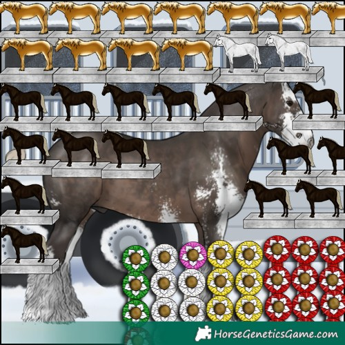 Horse Color:Gray Silver Black Sabino 