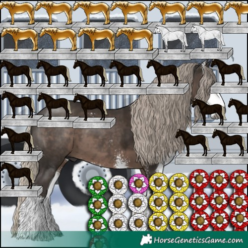 Horse Color:Gray Silver Black Sabino 