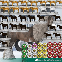 Horse Color:Gray Silver Black Sabino 