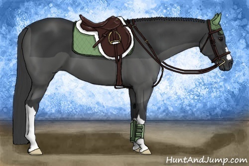 Horse Color:Smoky Black 