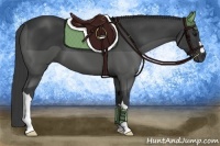 Horse Color:Smoky Black 