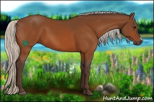 Horse Color:Silver Brown 