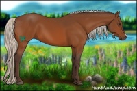 Horse Color:Silver Brown 