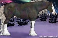 Horse Color:Midnight Silver Grullo Ice Splash