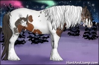 Horse Color:Brown Sabino Tobiano  and Smoky Black Sabino Tobiano 