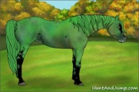 Horse Color:ERROR: UNKNOWN ANOMALY