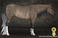 Horse Color:Brown Dun Rabicano
