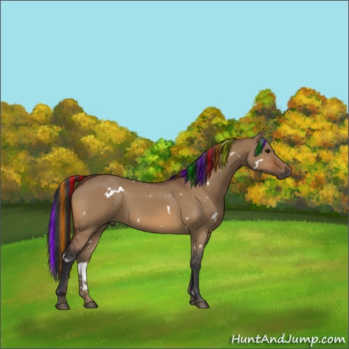Horse Color:Painted White Spotted Bay Dun 