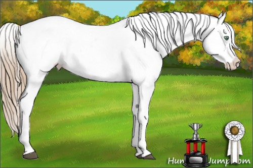 Horse Color:White Spotted Liver Chestnut Ice Pearl Appaloosa 