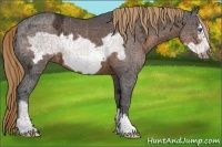 Horse Color:Liver Chestnut Ice Frame 