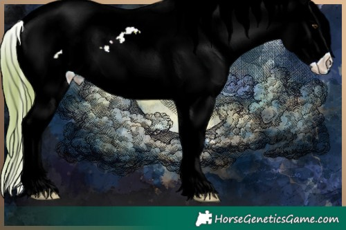 Horse Color:Watercolor Red Roan Splash Tobiano Appaloosa 