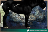 Horse Color:Watercolor Red Roan Splash Tobiano Appaloosa 