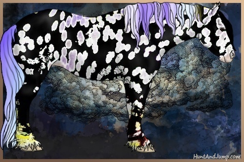 Horse Color:Watercolor White Spotted Blue Ice Roan Appaloosa 