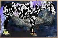 Horse Color:Watercolor White Spotted Blue Ice Roan Near Leopard 