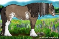 Horse Color:White Spotted Liver Red Dun 