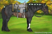 Horse Color:Brown Rabicano  and Brown Rabicano 