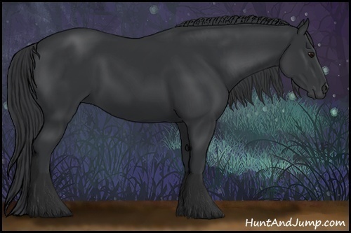 Horse Color:Black 
