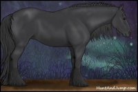 Horse Color:Black 