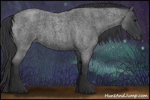 Horse Color:Blue Roan