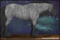 Horse Color:Blue Roan 