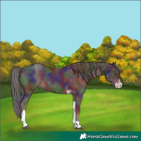 Horse Color:Nacre Liver Chestnut Splash Tobiano 